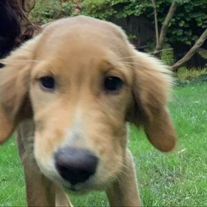 Meet your Posher, Kate